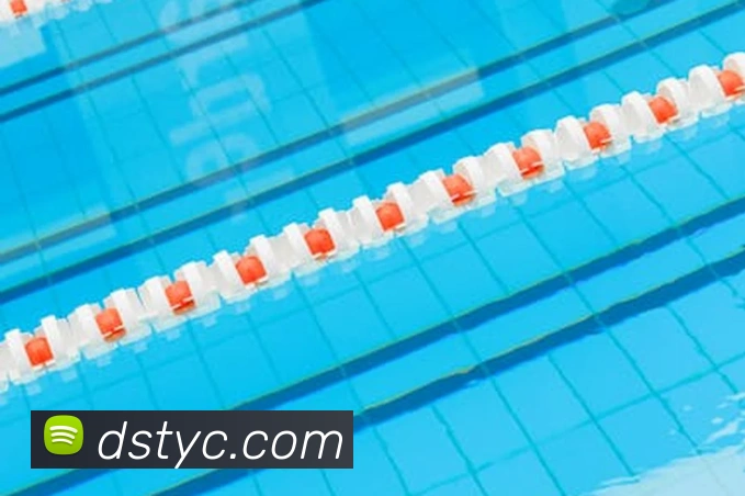 太阳城网站平台生态图